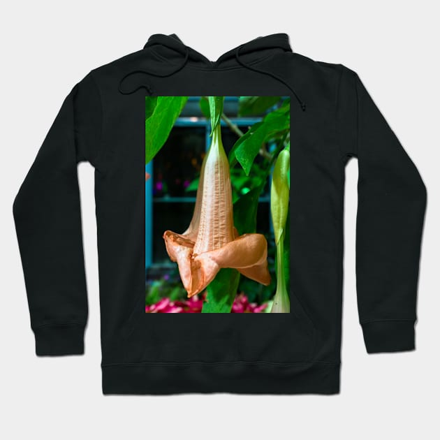 Brugmansia (Angel's trumpet) Hoodie by thadz